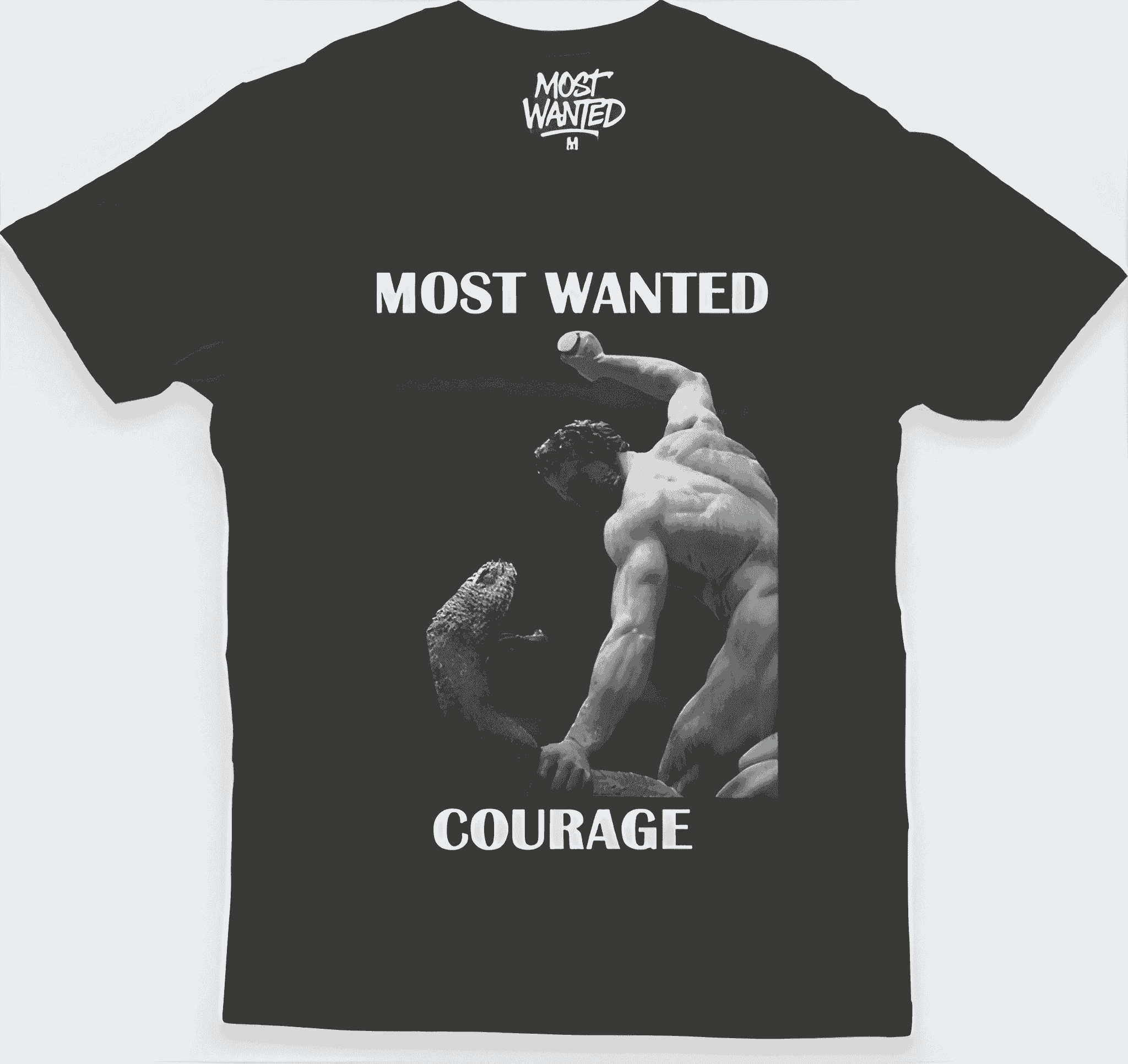 Camisa Courage (Serpent Slayer)