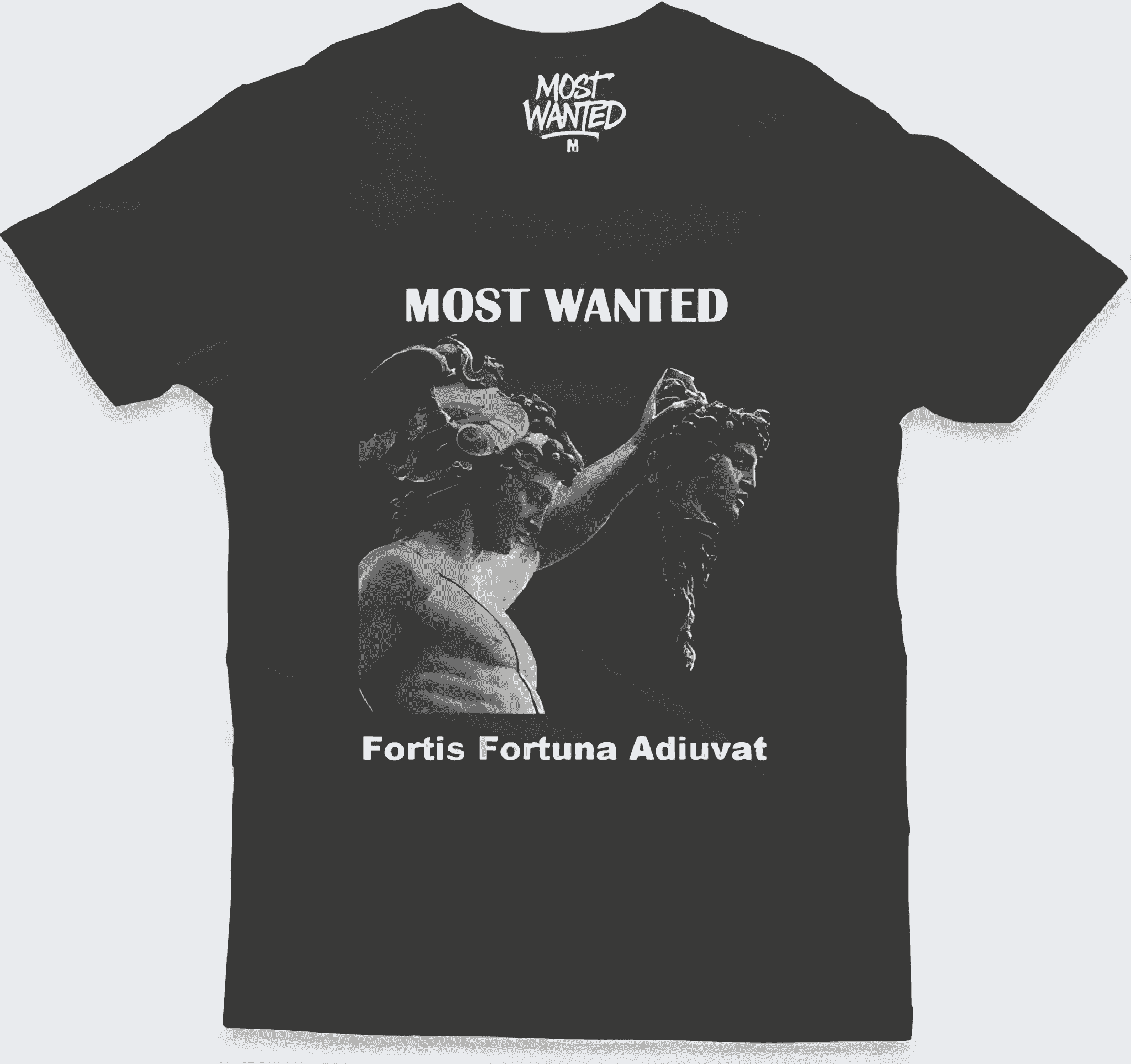 Camisa Fortis Fortuna Adiuvat (The Trophy of War)