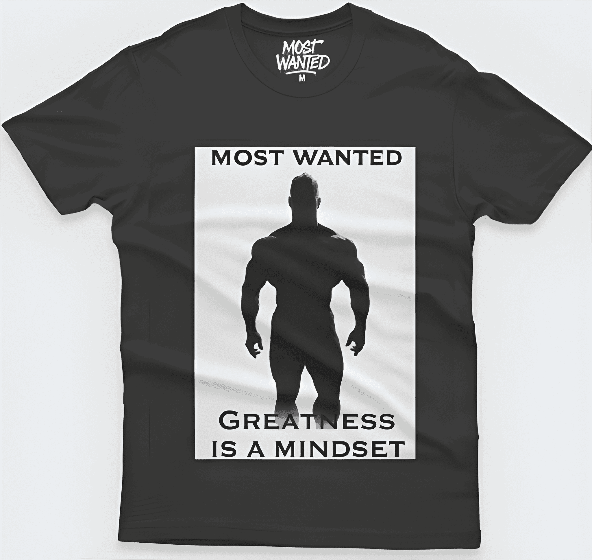 Camisa Greatness is a Mindset (Massive Ambition)