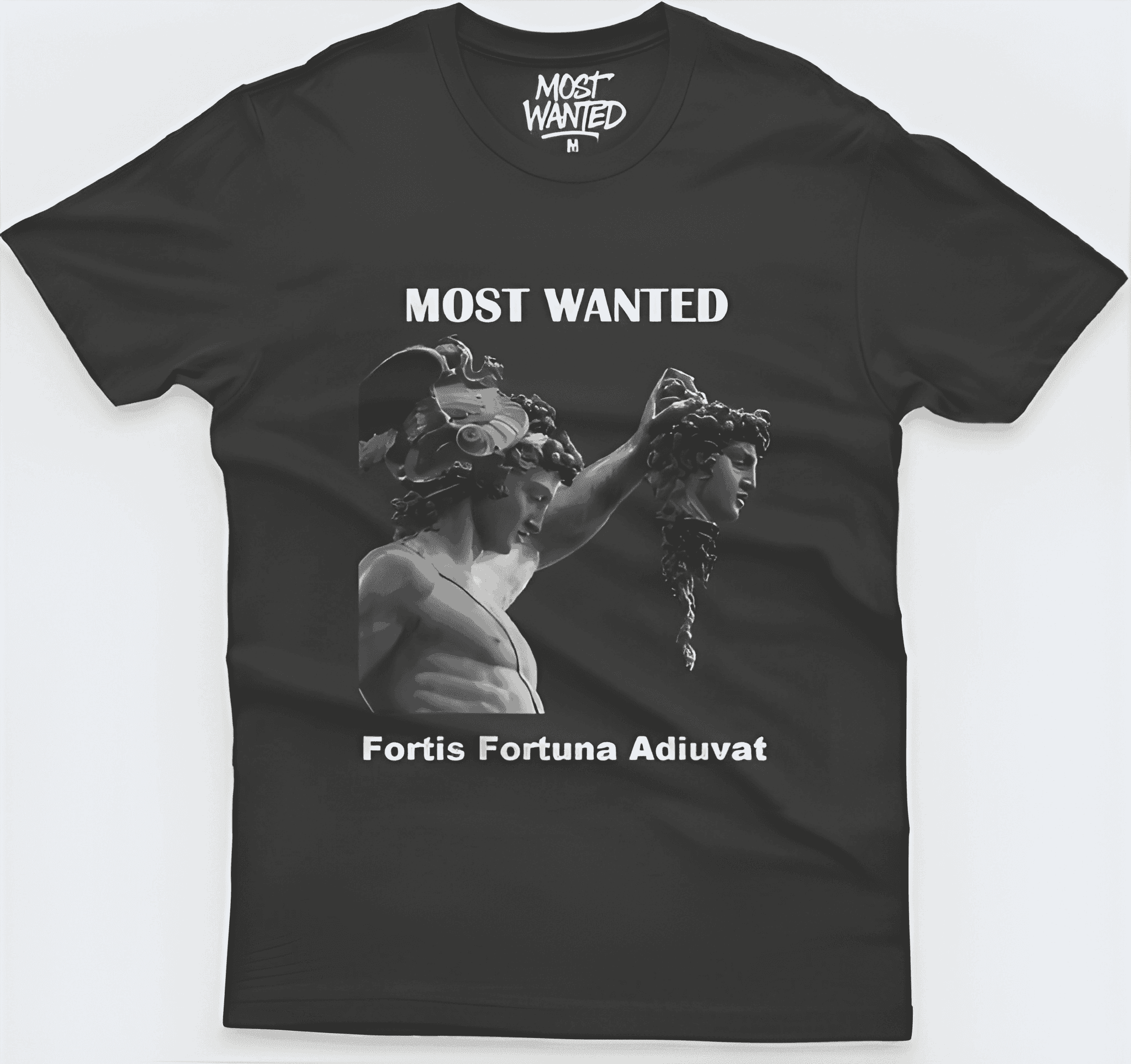 Camisa Fortis Fortuna Adiuvat (The Trophy of War)